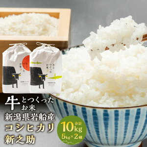 yӂ邳Ɣ[Łzyߘa7NYāzƂā@ VDYRVqJ5kgEVV5kg@    ͂ s V 1041006