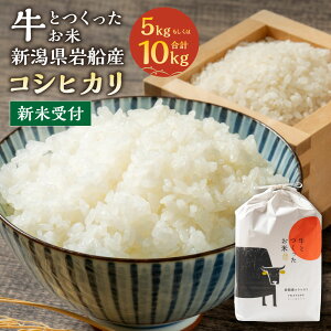 yӂ邳Ɣ[ŁzyVĎtEߘa7NYāzyIׂeʁz Ƃ VsDYRVqJ  5kg  10kg (5kg×2)     ͂ s V 