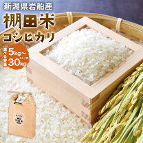 楽天市場】岩船産 コシヒカリ 30kgの通販