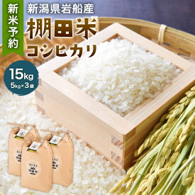 【ふるさと納税】【新米受付・令和6年産米】新潟県 岩船産 棚田米 コシヒカリ 合計 15kg 5kg×3袋 米 精米 白米 ご飯 ごはん 村上市 NC4017