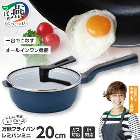 【ふるさと納税】 レミパン ミニ 20cm ネイビー (RHF-403)【 平野レミ 監修 フライパン 深型 蓋 セット 蓋付き 鍋 IH ガス くっつかない 軽い 万能 レミさん考案レシピ付 紺 調理器具 キッチンツール キッチン用品 ランキング 和平フレイズ 新潟県 燕三条 燕市 】 [f20041]