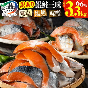 yӂ邳Ɣ[Łzy󂠂zؐg 2.2kg/3.3kg   X Iׂ閡Ɨe y  VP  T[ 1؂50g CN   Zbg ؂g łg F J} ٓ 