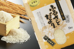 yӂ邳Ɣ[Łzyߘa7NYz{ꂨăReXg܎ _RVqJ 10kg