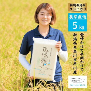 �y�ӂ邳�Ɣ[�Łz�� �w�Ђ����̎��x �y�ߘa7�N�Y�z �V�����Y �R�V�q�J�� ���ʍ͔|�� 5kg ×1�� �_�ƒ��� �^��p�b�N �������삪��Ă� ���܂��� ������ ���k���t�@�[�� �V�����Y�R�V�q�J��5kg 