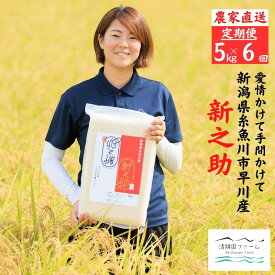 【ふるさと納税】新米『新之助』【6ヶ月定期便】5kg×6回 毎月お届け（計30kg）令和8年産 真空パック農家直送 新潟県産 新潟 糸魚川 清耕園ファーム 農家自慢 お米 白米 おにぎり お弁当 大粒 ツヤ 甘み 深い味わい 粘り 弾力 米 2026年産