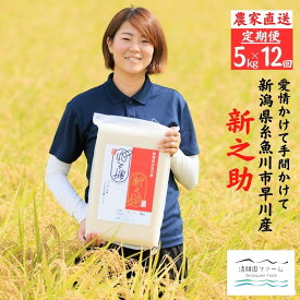 【ふるさと納税】新米『新之助』【12ヶ月定期便】5kg×12回 毎月お届け（計60kg）令和8年産 真空パック 農家直送 新潟県産 新潟 糸魚川 清耕園ファーム 美味しい 農家自慢 お米 白米 おにぎり お弁当 大粒 ツヤ 甘み 深い味わい 粘り 弾力 米 2026年産