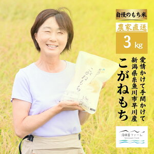 【ふるさと納税】新米 もち米新潟県 糸魚川産 『こがねもち』3kg(2升)令和7年産 つやつや ふっくら モチモチ もち米ならではの芳醇な香り 清耕園ファーム お正月 餅 赤飯 おこわ 美味しい