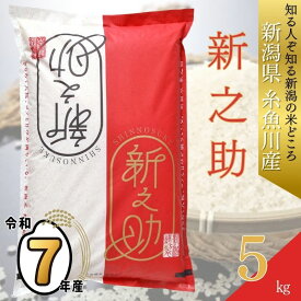 【ふるさと納税】 令和7年産『新之助』 5kg 新潟県糸魚川産 10月以降順次発送予定 農家直送 2025年 しんのすけ あぐ里能生 お米 食品 人気 おすすめ ギフト 新潟県の新しいブランド米 産地直送 5キロ 精米 白米 おにぎり 弁当 農家自慢 米 こめ