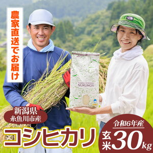 �y�ӂ邳�Ɣ[�Łz�ߘa6�N�Y �R�V�q�J������ 30kg �i���ăT�[�r�X�\�j�y�V�����Y �_�ƒ��� �hnukumori�h �ʂ����� �Â݂��ӂ�� �����Ђ��� 2024�N�Y �v�����F�߂������������� �S����`�Z ��