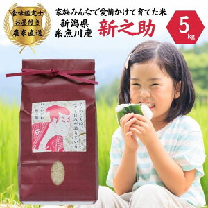 yӂ邳Ɣ[Łz ߘa7NYVāwVVx5kg HӒmnt Ƒ݂ȂňĈĂ VY 2025N ̂  S`Zy   Hi lC  