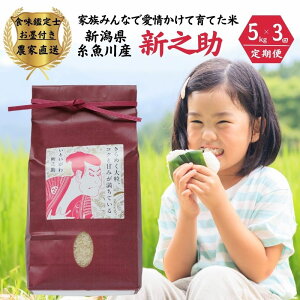 yӂ邳Ɣ[Łzߘa7NYVāyցzVV 5kg×3 v15kg HӒmnt Ƒ݂ȂňĈĂ VY 2025N ̂  S`ZyHi lC 