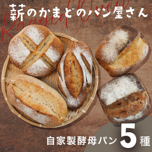 【ふるさと納税】パン 自家製酵母パン 5種セット(ベーシックプレーン/全粒粉プレーン/ライ麦プレーン/全粒粉イチジクとオレンジピール/ライ麦クルミとレーズン)全粒粉 ライ麦 パン 天然酵