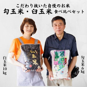 �y�ӂ邳�Ɣ[�Łz ���ʕ�6kg(3kg×2��) �E�P�ʕ�10kg(5kg×2��) �Z�b�g �v16kg�s�ߘa7�N�Y�t�y�ߘa8�N1���ȍ~�o�ח\��z �H�ה�׃Z�b�g �R�V�q�J��6kg �������Ԃ�10kg �V���� ������ ���� �������� �l