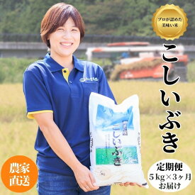 【ふるさと納税】米 白米 米5kg 【定期便】新潟県産コシイブキ 5kg×3回 毎月お届け 合計15kg 令和5年産 プロが認めたうまい米 糸魚川産『こしいぶき』新潟米 農家自慢 精米したてを農家直送 どんな料理にも合ううまい米 お手頃価格 おにぎり お弁当 3ヶ月定期便 あぐ里能生