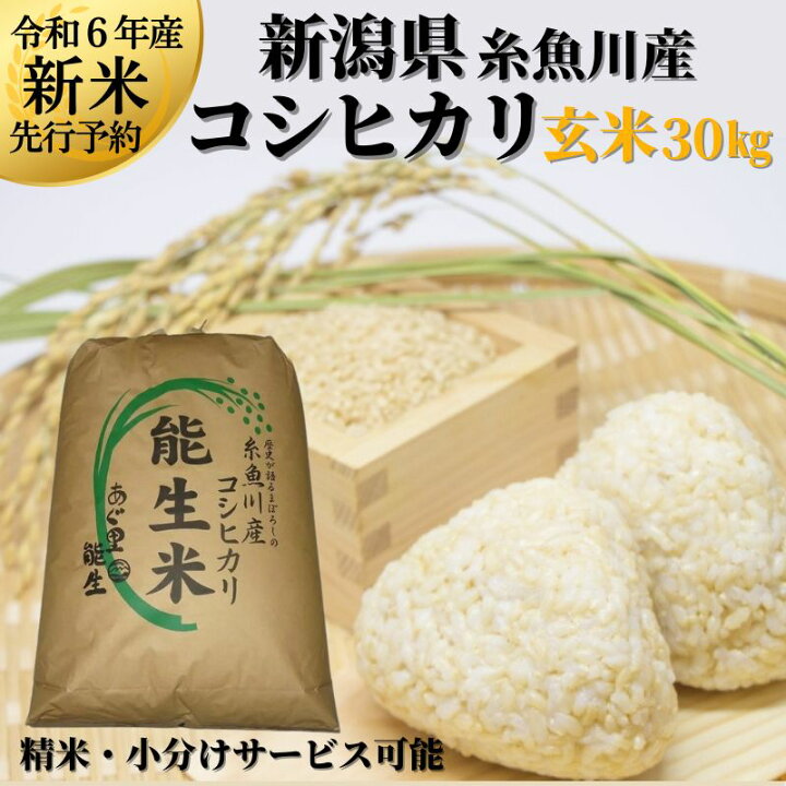 楽天市場】【ふるさと納税】米 新米【令和6年産 新米予約】新潟県産  