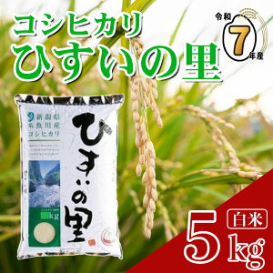 �y�ӂ邳�Ɣ[�Łz�w�Ђ����̗��x5kg�s�ߘa7�N�Y�t �V�����Y�R�V�q�J�� �L���Ȏ��R����񂾔������� �V���� �_�Ǝ��� ������ �Ăǂ���V�� �č��̃v�� JA �����Ђ��� ���������� ���ɂ��� 