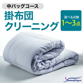 【ふるさと納税】掛布団クリーニング (1〜3点パック) 中バッグコース 1〜3点 丁寧 丸洗い セミダブル 掛け布団 寝具 こたつ 丸洗い クリーニング シーツ 高品質ヤマトヤクリーニング 糸魚川 帰省 年末年始 実家 寝具 布団クリーニング