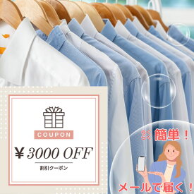 【ふるさと納税】クリーニング クーポン券3000円分 衣類クリーニング 布団クリーニング Mixクリーニング テントクリーニング カーテンクリーニング 布団レンタル 新潟県 糸魚川市 ヤマトヤクリーニング