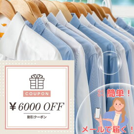 【ふるさと納税】クリーニング クーポン券6000円分 衣類クリーニング 布団クリーニング Mixクリーニング テントクリーニング カーテンクリーニング 布団レンタル 新潟県 糸魚川市 ヤマトヤクリーニング