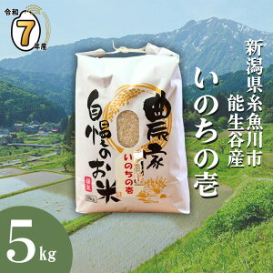 yӂ邳Ɣ[ŁzIׂ锭  V ߘa7NY ̂̈ 5kg VY _ƒ vF߂ Ic  \JY RVqJ̕ψي ̂̈ ̕ 󏭂ȕ Ђ1.5