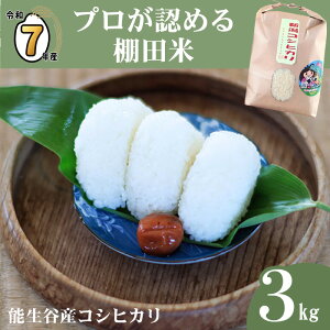 yӂ邳Ɣ[Łz Vāyߘa7NY VāzIׂ锭 ߘa7NY V\JYRVqJ 3kg vF߂Ic _ƒ 2025NY JATsL  _Ǝ   ɂ 