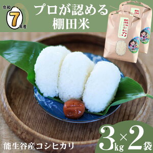 yӂ邳Ɣ[Łz Vāyߘa7NY VāzIׂ锭 RVqJ 6kg (3kg×2) VY _ƒ vF߂ Ic  \JY Ђ _ƐY@l JATsL  