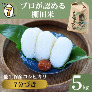 yӂ邳Ɣ[Łz Vāyߘa7NY VāzRVqJi7Âj 5kg V\JY vF߂Ic _ƒ 2025NY JATsL  _Ǝ   ɂ 