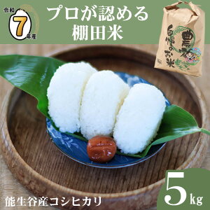 yӂ邳Ɣ[Łz Vāyߘa7NY VāzRVqJ 5kg VY _ƒ vF߂ Ic  \JY Ђ _ƐY@l JATsL  _Ǝ   