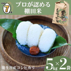 �y�ӂ邳�Ɣ[�Łz�� �V�āy�ߘa7�N�Y �V�āz�I�ׂ锭���� �R�V�q�J�� 10kg (5kg×2��) �V�����Y �_�ƒ��� �v�����F�߂� �I�c�� ������ �\���J�Y �����Ђ��� �_�Ɛ��Y�@�l JATs�L����� �������� 