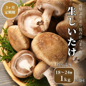 yӂ邳Ɣ[Łzyցz  1kg(ő18`24)×3͂ v3kg ĎR̎̂ЂVC^P VN W{ _  V  O Y ő 