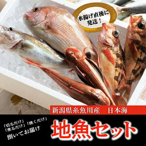 yӂ邳Ɣ[ŁzvI!w̑Nlߍ킹Zbgx(hgp2ƉāEϕtpϊe2CÂj{CVNȋ͂܂!V  LNX {̋ l 