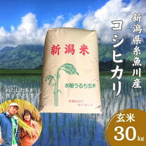 楽天市場】新潟県産コシヒカリ 玄米30kgの通販