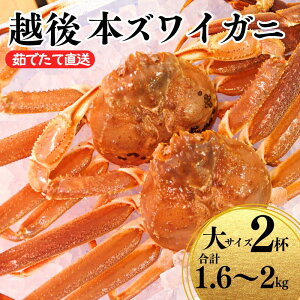 yӂ邳Ɣ[ŁzqԌr{YCKj  2t v1.6`2kg l䥂 NxI䥂łĒ Mtgɂ XX 킢  {킢 I  Y {C V Y zY 