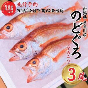 【ふるさと納税】【2026年8月以降発送】天然のどくろ (アカムツ) 3尾 約1kg 先行予約 鮮度抜群!水揚げ直後に発送 高級魚 生 刺身 煮付け 下処理可能 魚正 日本海 刺身 ノドグロ のどぐろ 赤ム