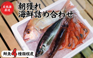 yӂ邳Ɣ[Łzy4xz{C {̑NlߍN{bNX ̃vI񂾌I V  \`璩lVNȋ͂  (Y VR CN hg ރZ