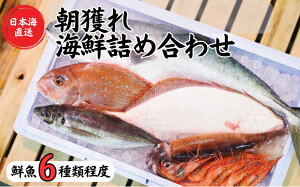 yӂ邳Ɣ[Łzy6xz{C {̑NlߍN{bNX ̃vI񂾌I V  \`璩lVNȋ͂  (Y VR CN hg ރZ