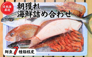yӂ邳Ɣ[Łzy7xz{C {̑NlߍN{bNX ̃vI񂾌I V  \`璩lVNȋ͂  (Y VR CN hg ރZ