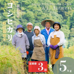 yӂ邳Ɣ[Łzߘa7NY RVqJy3ցz  5kg×3 ͂ v15kg V sY _ w엿 S S  V Y ACt@[}[Y 