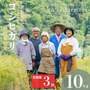 yӂ邳Ɣ[Łzߘa7NY RVqJ(BL)y3ցz  10kg×3 ͂ v30kg V sY _ w엿 S S  V Y ACt@[}[Y 