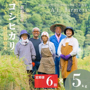 yӂ邳Ɣ[Łz ߘa7NY RVqJ(BL) y6ցz  5kg×6 ͂ v30kg V sY _ w엿 S S  V Y ACt@[}[Y 