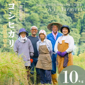 【ふるさと納税】 コシヒカリ(BL) 【令和7年産】 白米 10kg 新潟県 糸魚川市産 特別栽培米 減農薬 減化学肥料米 安心 安全 美味しいお米 新潟米 今井産 アイファーマーズ 今摺り米 精米 こしひかり おにぎり お弁当 におすすめ お米 おこめ コメ 2025