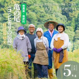 yӂ邳Ɣ[ŁzR͔| T̔ yߘa7NYz󏭎  5kg V sY _ w엿 S S  V   ACt@[}[YyЂ ɂ 