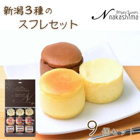 【ふるさと納税】『新潟3種のスフレセット』 9個入り 1箱 人気の大糸チーズ、半熟ショコラ、新潟ふわとろチーズ 優しい味わい ギフトにもおすすめ 新潟県 糸魚川市 ナカシマ のし対応可 チーズケーキ スイーツ 洋菓子 お歳暮 お中元 贈答