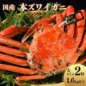 yӂ邳Ɣ[ŁzqԌr{YCKj TCYw߂x 800g×2t v1.6kg p I Y NxIĒ 킢  I qXCY Y {C V VN ^O