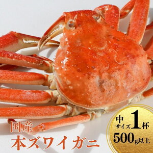 【ふるさと納税】〈期間限定〉本ズワイガニ 500g以上×1杯 姿 蒸し蟹 糸魚川産 鮮度が命!蒸したて直送 ずわいがに かに 蟹 ヒスイ水産 国産 日本海 新潟 新鮮 タグ付き 11月から漁開始 ギフト