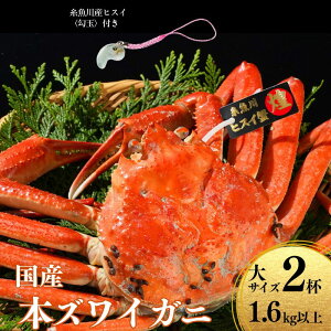 【ふるさと納税】〈期間限定〉本ズワイガニ 800g以上×2杯 計1.6kg以上 《ヒスイ勾玉付き》 姿 蒸し蟹 糸魚川産 鮮度が命!蒸したて直送 ずわいがに かに 蟹 ヒスイ水産 国産 日本海 新潟 新鮮