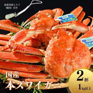 【ふるさと納税】〈期間限定〉本ズワイガニ 500g以上×2杯 計1kg以上 《ヒスイ根付付き》 姿 蒸し蟹 糸魚川産 鮮度が命!蒸したて直送 ずわいがに かに 蟹 ヒスイ水産 国産 日本海 新潟 新鮮