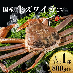 【ふるさと納税】〈期間限定〉生 本ズワイガニ 800g以上×1杯 『煌めき』 姿 生きたまま発送 生蟹 糸魚川産 鮮度抜群!獲れたて直送 ずわいがに かに 蟹 ヒスイ水産 国産 日本海 新潟 新鮮 タ