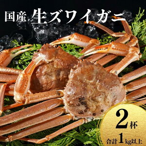 【ふるさと納税】〈期間限定〉生 本ズワイガニ 500g以上×2杯 計1kg以上 姿 生きたまま発送 生蟹 糸魚川産 鮮度抜群!獲れたて直送 ずわいがに かに 蟹 ヒスイ水産 国産 日本海 新潟 新鮮 タグ