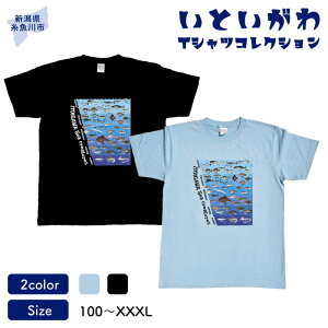 yӂ邳Ɣ[ŁznIWi TVcwTx-}- ƂTVcRNV jp 100% Y fB[X LbY t@bV gbvX X|[cpi V 